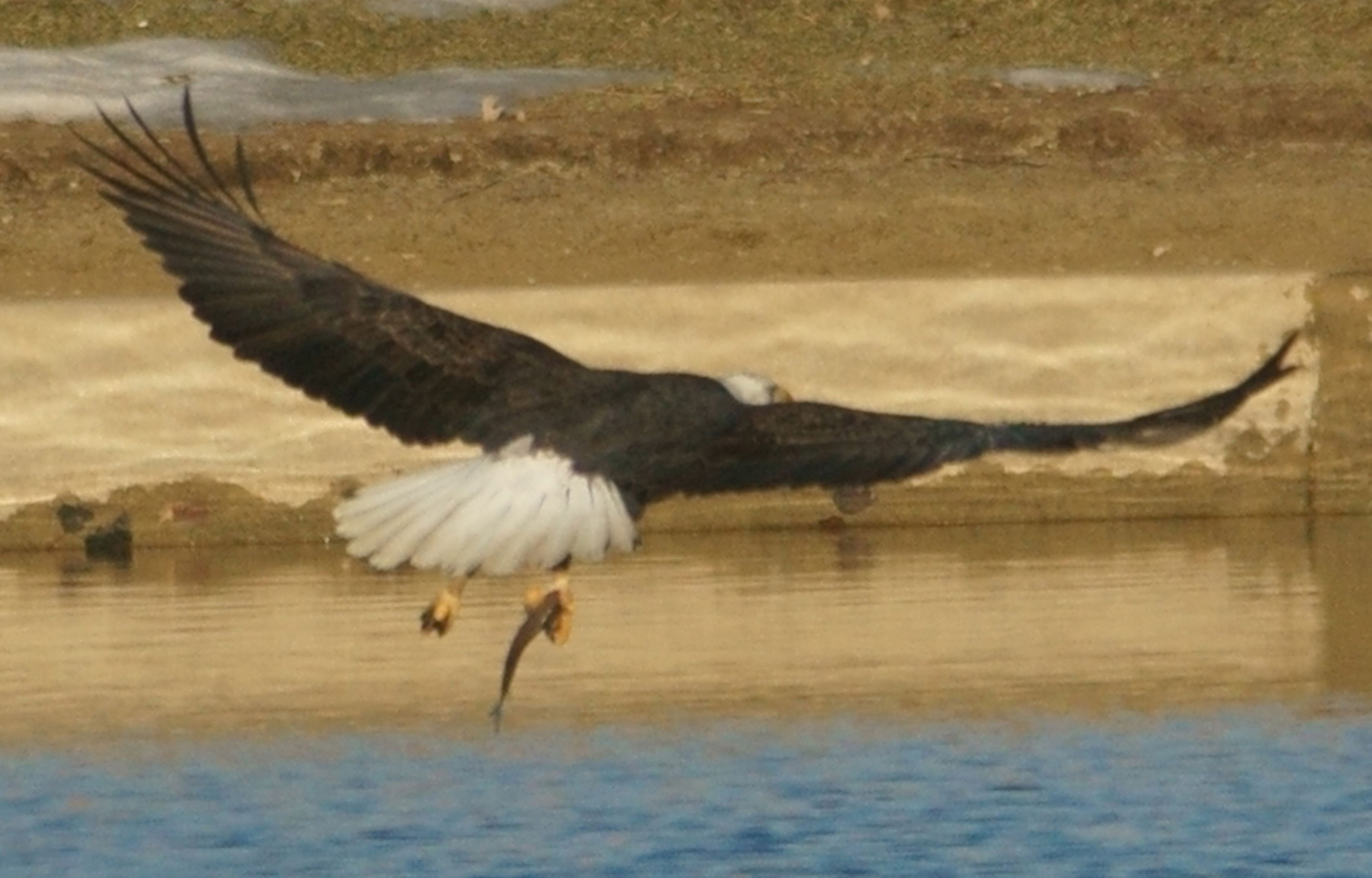 Image taken in Twin Silo Park
