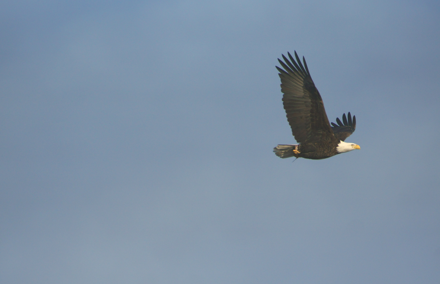 Image taken in Twin Silo Park