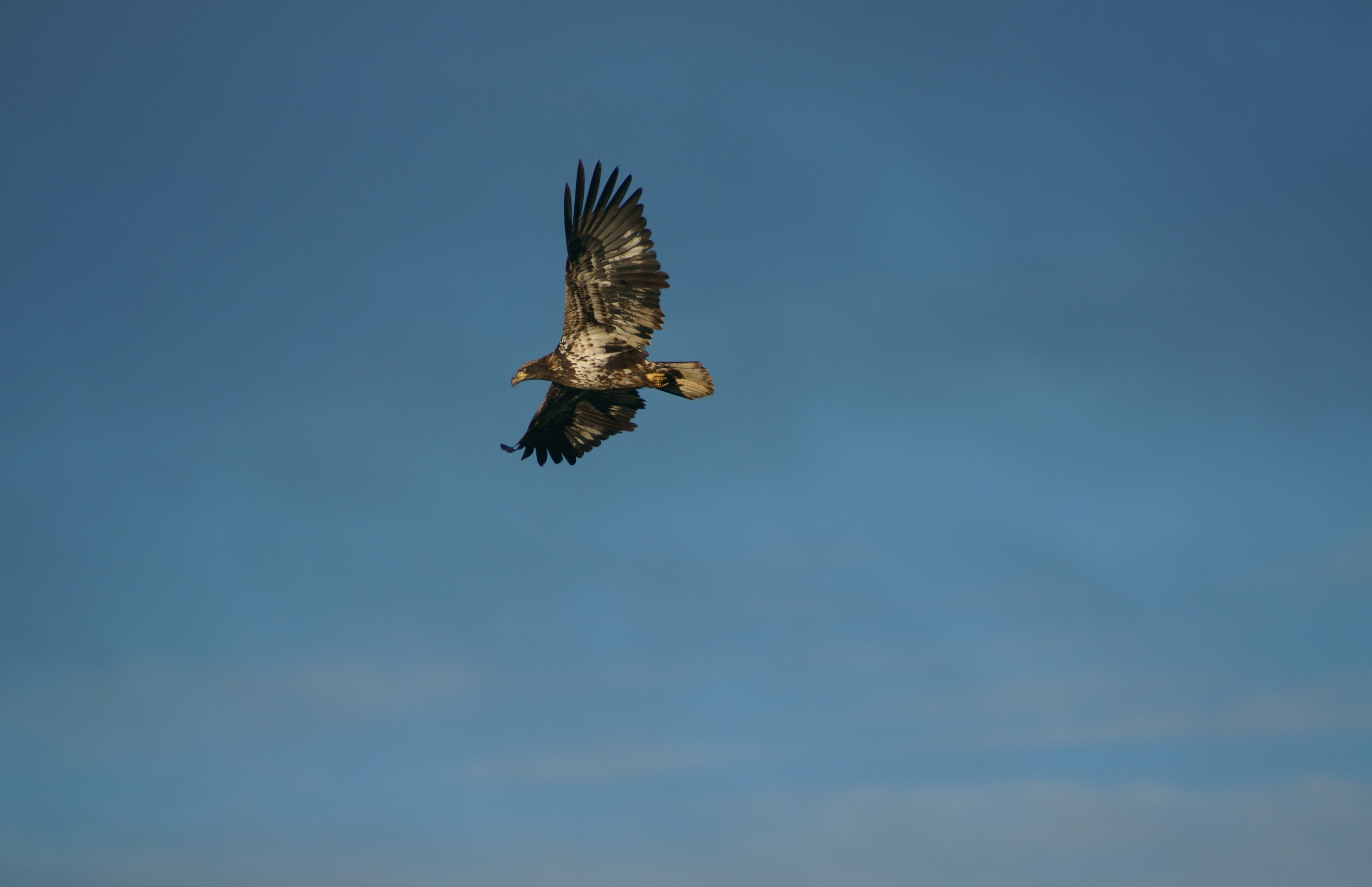 Image taken in Twin Silo Park