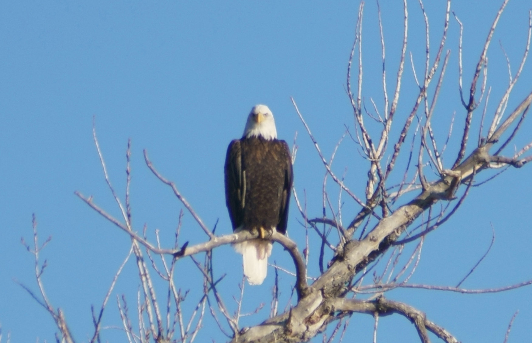 Image taken in Twin Silo Park