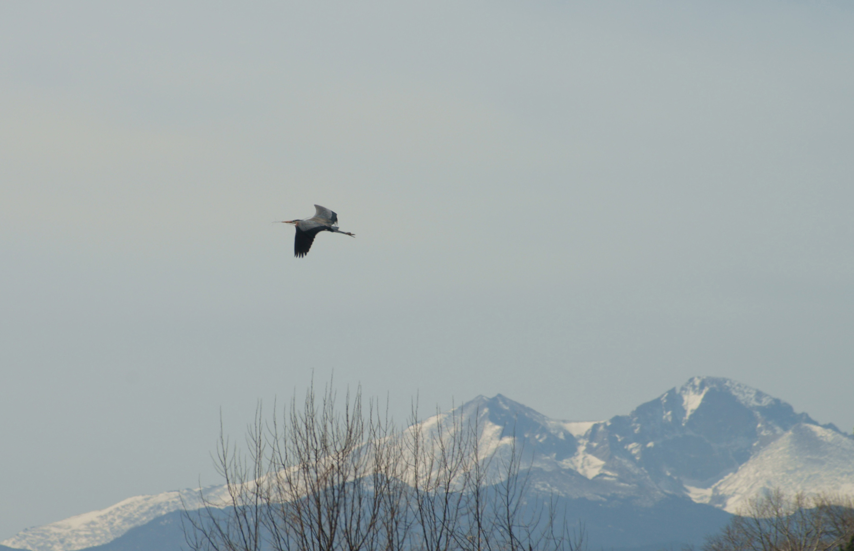 Image taken at the lakes east of Strauss Cabin Road