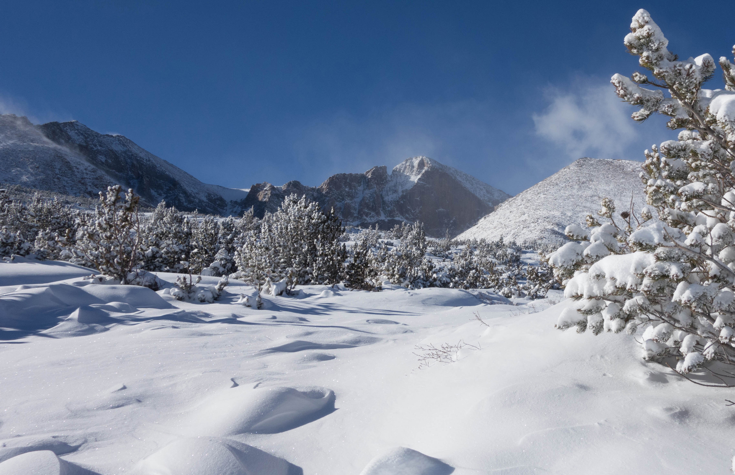 Longs peak trail near tree line
